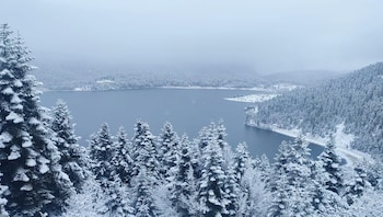 bolu