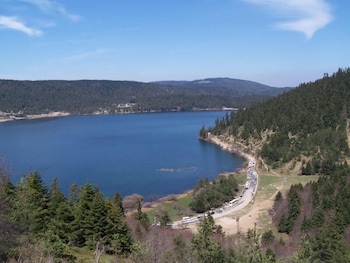 bolu