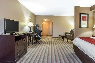 comfort suites smyrna