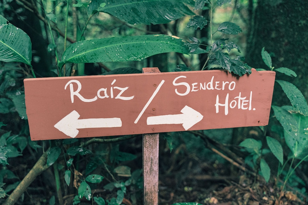 hotel jardines de monteverde