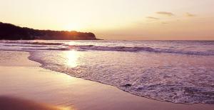 izu imaihama tokyu hotel