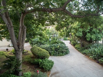 kfar blum