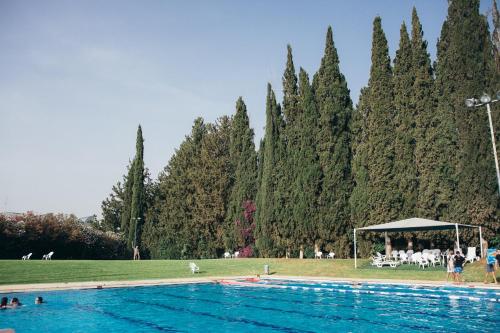 kfar blum