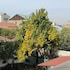 yerevan