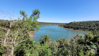 glamping selva iguazu