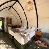 glamping selva iguazu