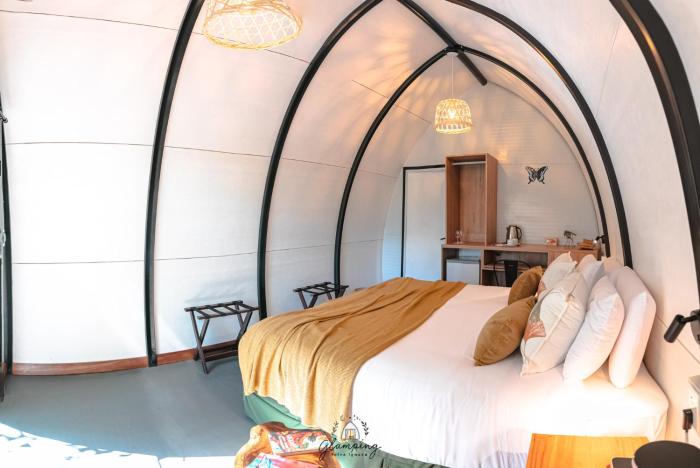 glamping selva iguazu