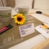 hotel saint moritz ozped flats