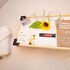 hotel saint moritz ozped flats