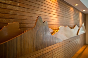 ritz hotel leblon