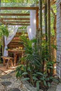 chales magia do campeche