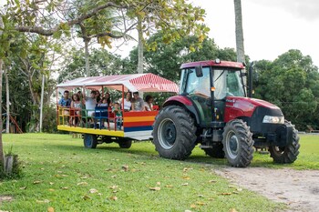 hotel fazenda mirage