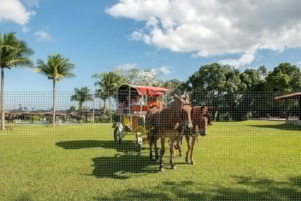hotel fazenda mirage