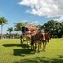 hotel fazenda mirage