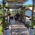 hotel flores de holambra