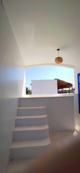tribus experience inn