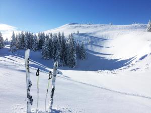 chalet hotel la mainaz restaurant and resort the originals collection