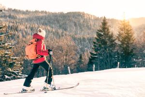 chalet hotel la mainaz restaurant and resort the originals collection