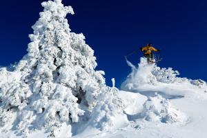 chalet hotel la mainaz restaurant and resort the originals collection