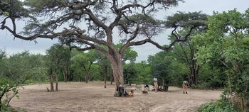 mankwe camping