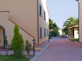 cecina