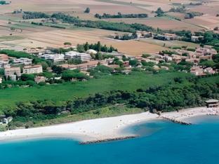 cecina