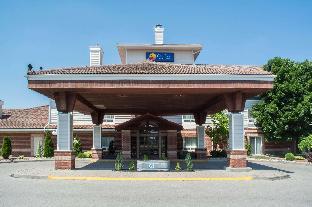 comfort inn and suites ingersoll