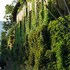 corte franca