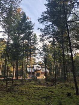 hotel uniq foret o cascades