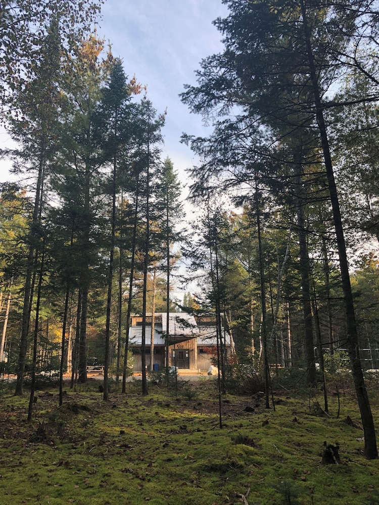 hotel uniq foret o cascades