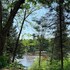 hotel uniq foret o cascades