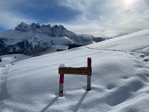 chalet montriond