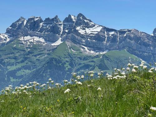 chalet montriond