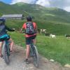 chalet montriond