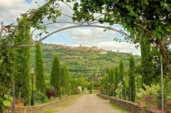 cortona