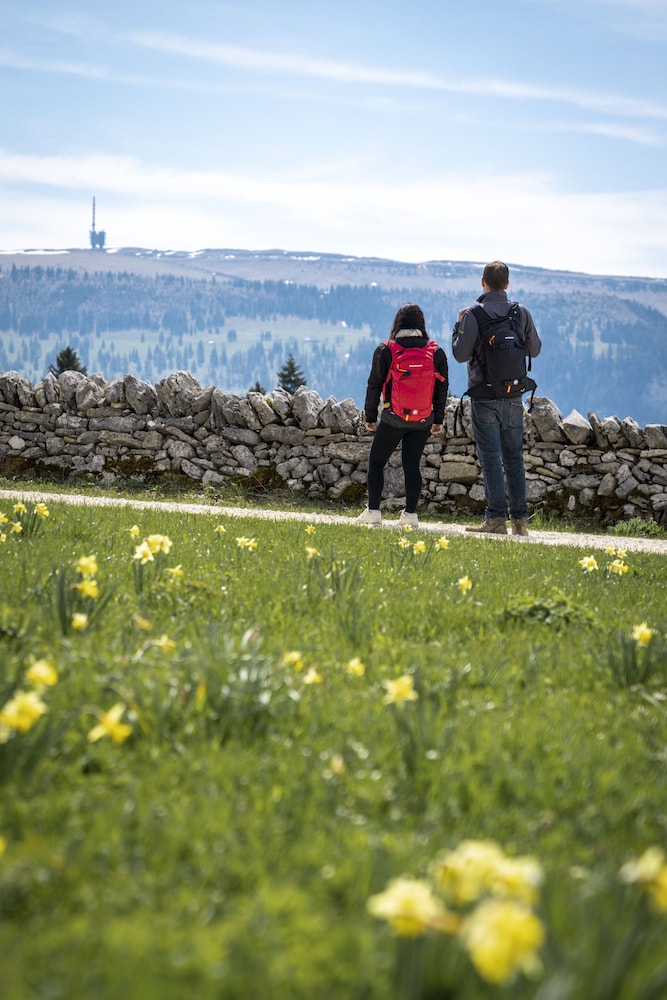 hota hotel saint imier