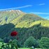 ernen