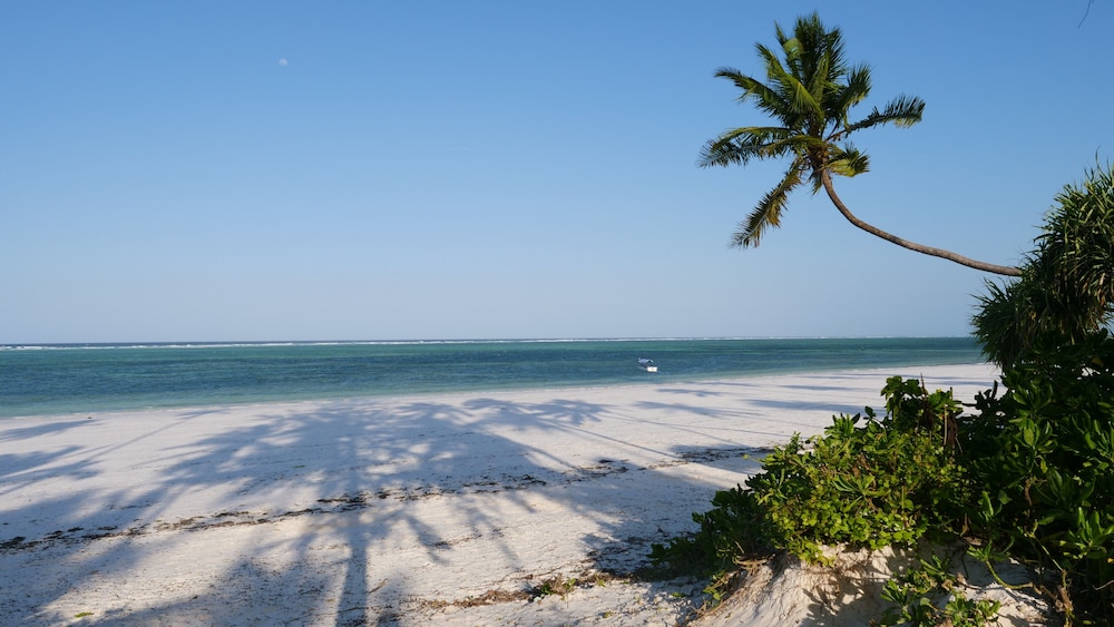 zoi retreat hotel zanzibar