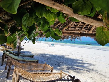 zoi retreat hotel zanzibar