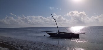 zoi retreat hotel zanzibar