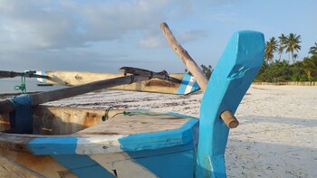 zoi retreat hotel zanzibar