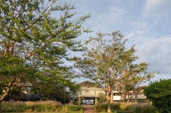 mantis akagera game lodge