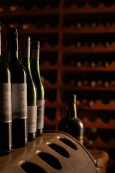 sediba luxury safari lodge