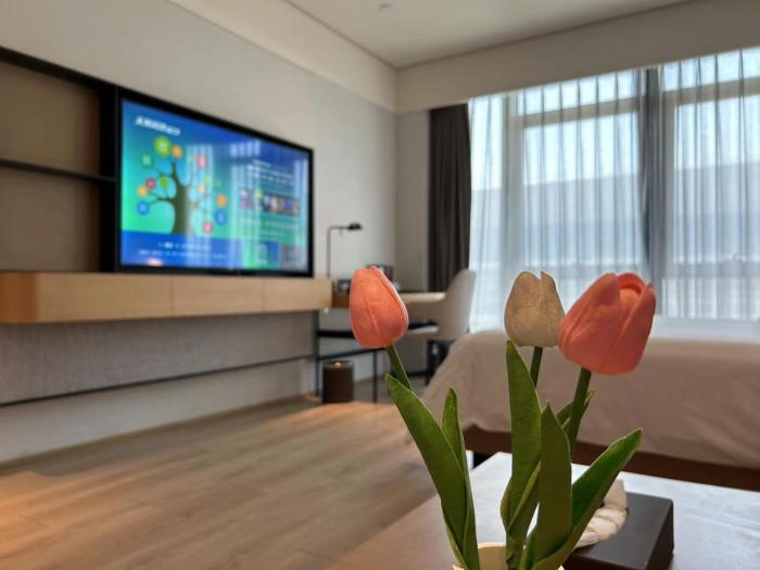 sunstone plaza hotel