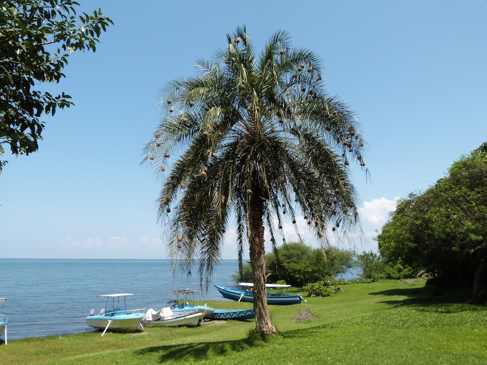 mfangano island lodge