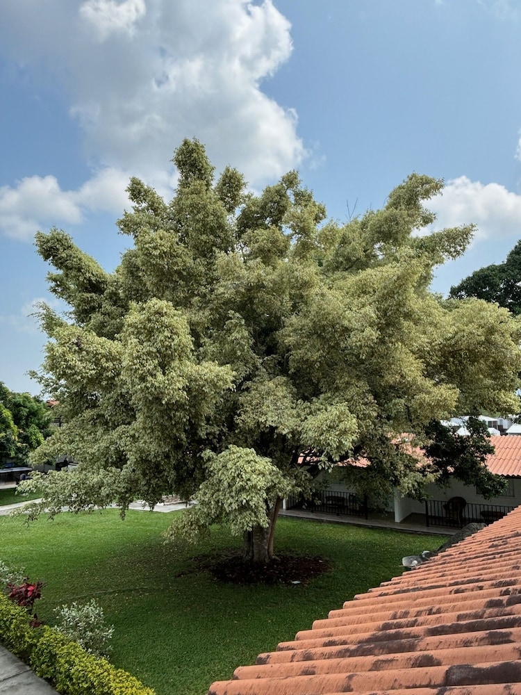 hotel cerritos plaza