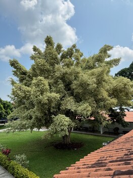 hotel cerritos plaza