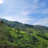 finca la fortaleza