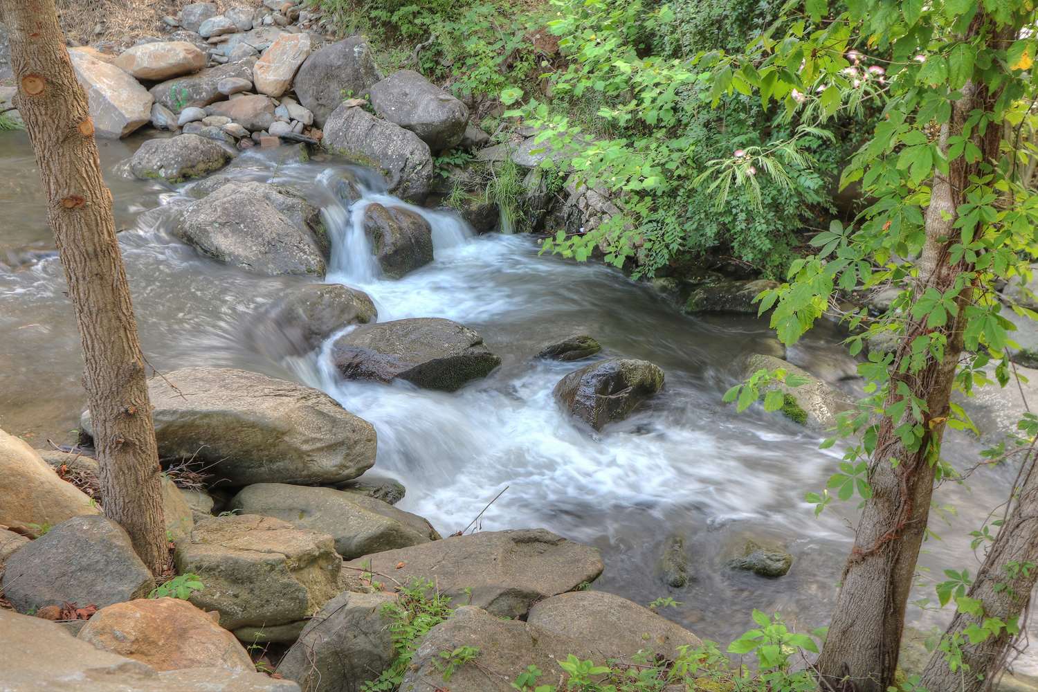 hampton inn gatlinburg historic nature trail