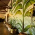 el rio hotel